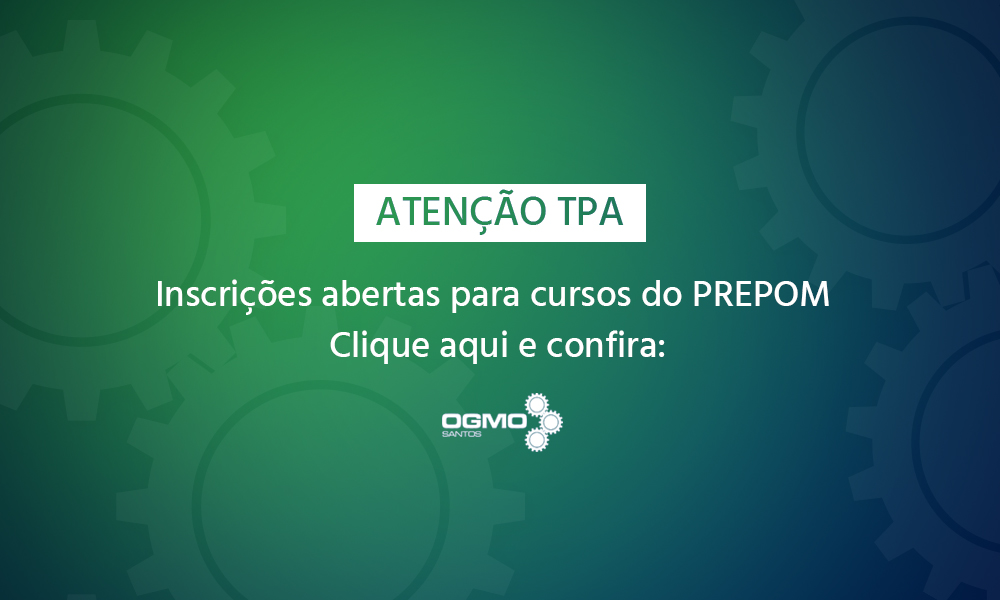 vitrine-ogmo-CURSO