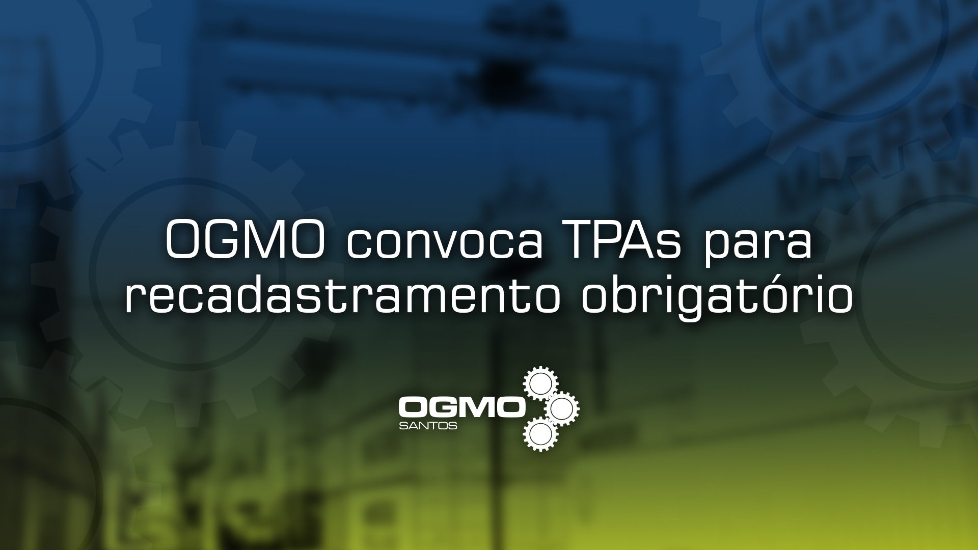 ogmo-vitrine 11 05